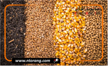 در اختیار قراردادن نهاده های مدت‌دار به دامداران و مرغداران